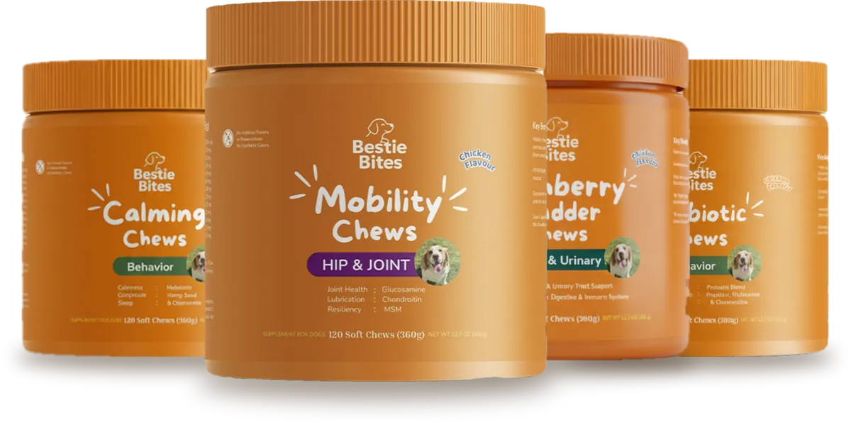 Four jars of Bestie Bites soft chews: Calming, Mobility, Cranberry Bladder and Probiotic